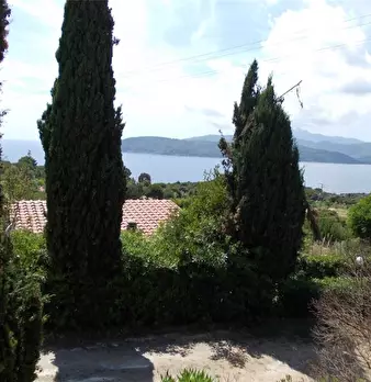 Foto annuncio 9