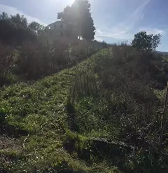 Foto annuncio 11