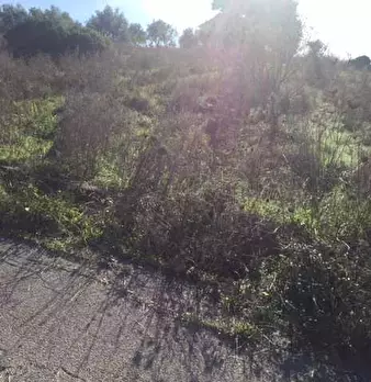 Foto annuncio 12