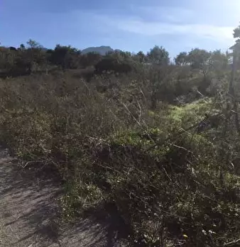 Foto annuncio 13