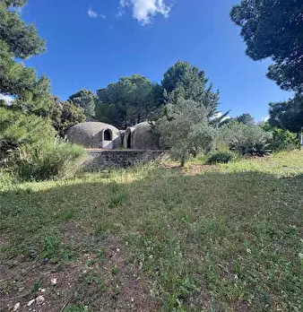 Foto annuncio 10