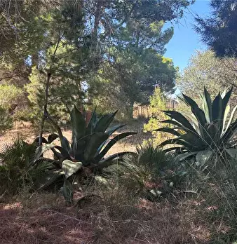 Foto annuncio 11
