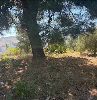 Foto annuncio 12