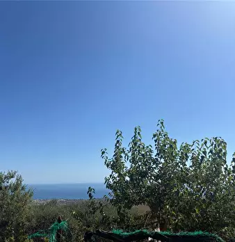 Foto annuncio 13