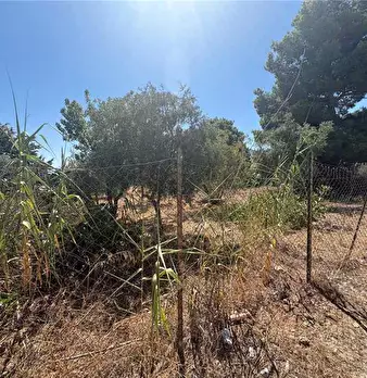 Foto annuncio 14