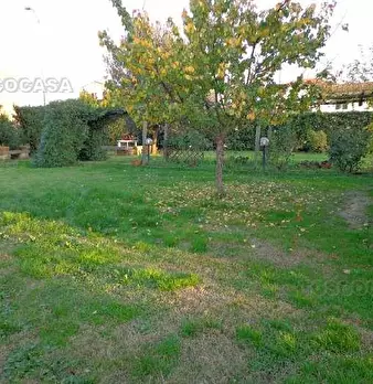 Foto annuncio 10