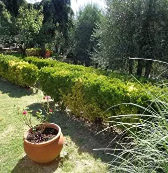 Foto annuncio 10