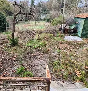 Foto annuncio 10