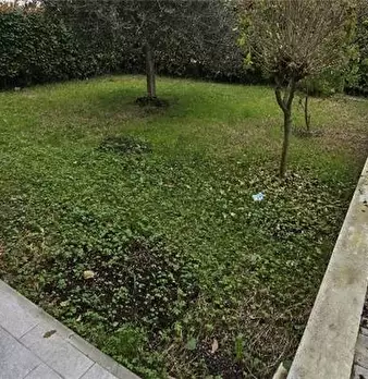 Foto annuncio 9