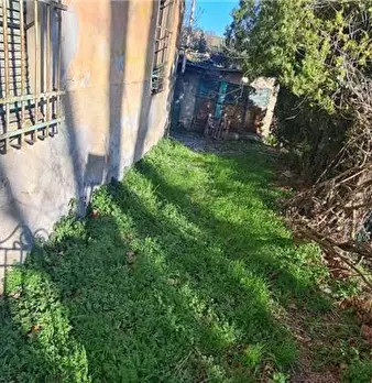 Foto annuncio 10