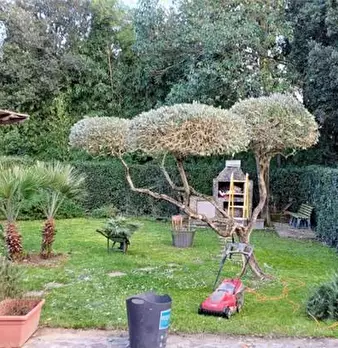 Foto annuncio 9
