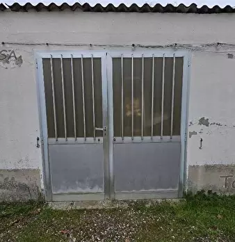 Foto annuncio 10