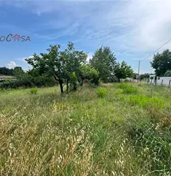 Foto annuncio 6