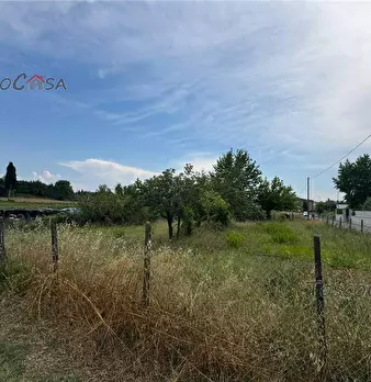 Foto annuncio 10