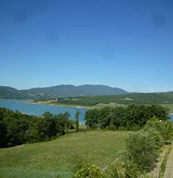 Foto annuncio 10