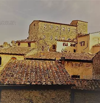 Foto annuncio 6