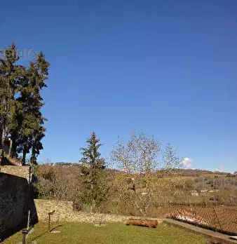 Foto annuncio 7