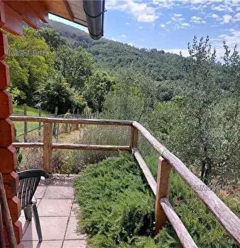 Foto annuncio 25