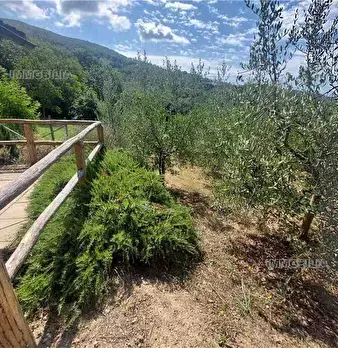 Foto annuncio 27