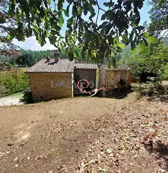 Foto annuncio 18