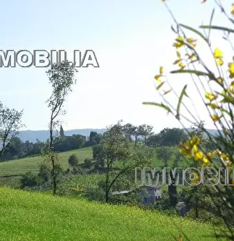 Foto annuncio 27