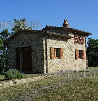 Foto annuncio 28