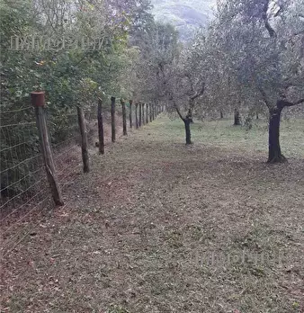 Foto annuncio 6