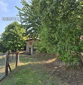 Foto annuncio 33