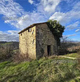 Foto annuncio 38