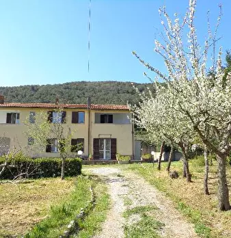 Foto annuncio 6