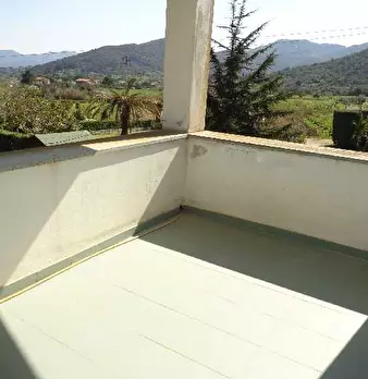 Foto annuncio 7