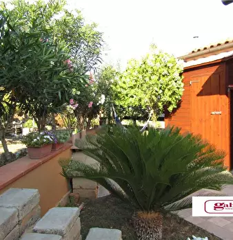 Foto annuncio 9