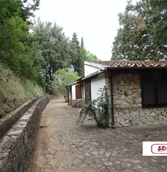 Foto annuncio 11