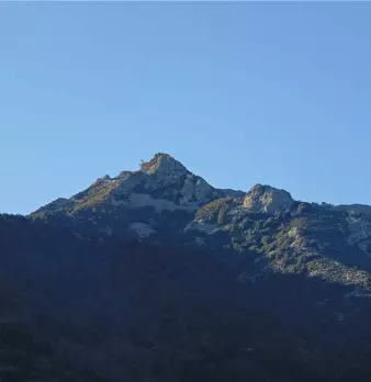 Foto annuncio 9