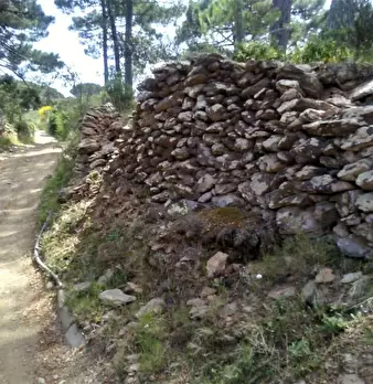 Foto annuncio 6