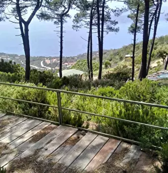 Foto annuncio 7