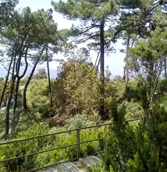 Foto annuncio 8