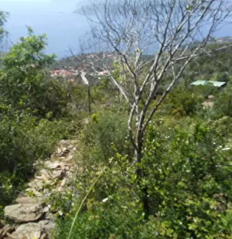 Foto annuncio 9