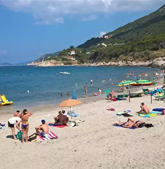 Foto annuncio 17