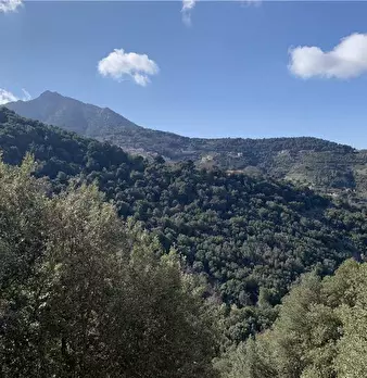 Foto annuncio 13