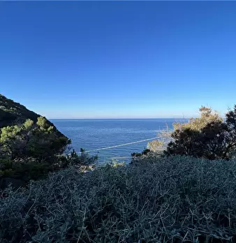 Foto annuncio 11