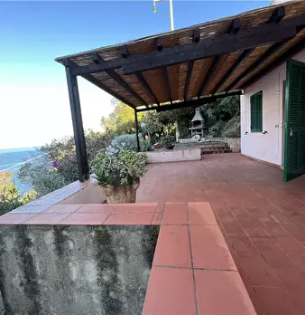 Foto annuncio 12