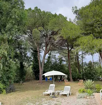 Foto annuncio 7
