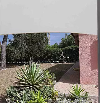 Foto annuncio 9