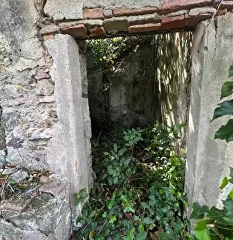 Foto annuncio 7