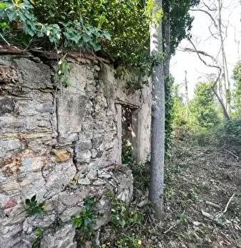 Foto annuncio 8