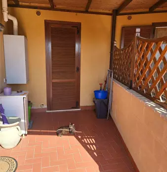 Foto annuncio 9