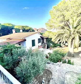 Foto annuncio 6