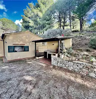 Foto annuncio 13
