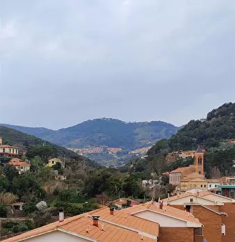 Foto annuncio 11